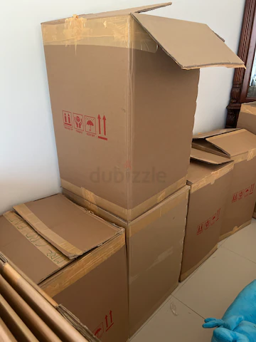 Carton Box + Ecommerce bag business is here to stay - get attached at any point of this segment and it will profit you in the long run